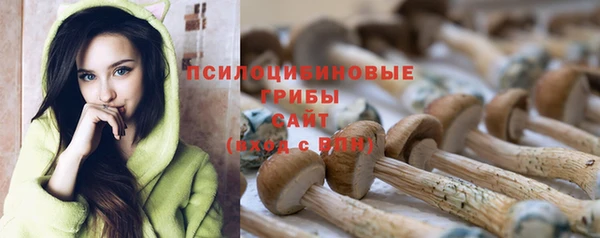 наркотики Абаза