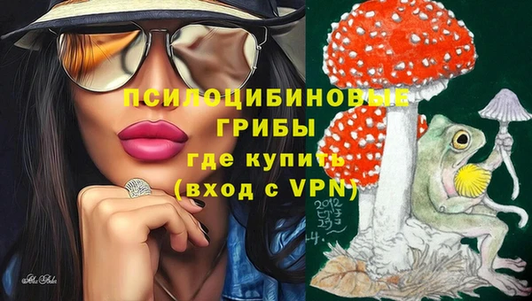 соль ск Абдулино